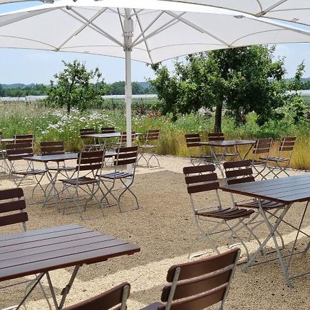Vorgebirgsblick - Restaurant Biergarten Gaestehaus บอร์นไฮม์ ภายนอก รูปภาพ