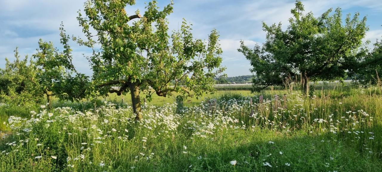 Vorgebirgsblick - Restaurant Biergarten Gaestehaus บอร์นไฮม์ ภายนอก รูปภาพ